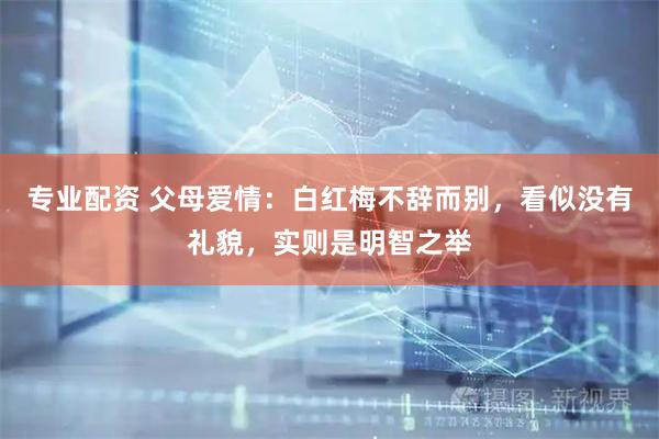 专业配资 父母爱情：白红梅不辞而别，看似没有礼貌，实则是明智之举
