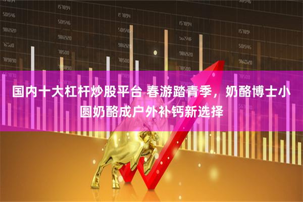 国内十大杠杆炒股平台 春游踏青季，奶酪博士小圆奶酪成户外补钙新选择
