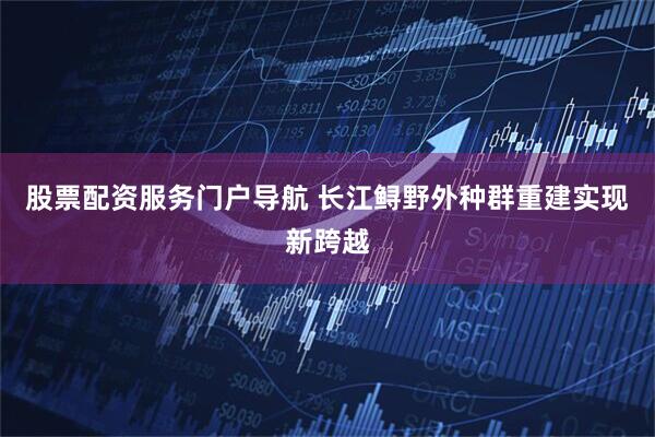股票配资服务门户导航 长江鲟野外种群重建实现新跨越